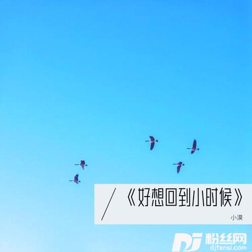 好想回到小时候cover:大欢的专辑