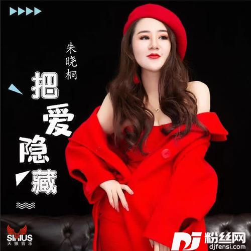 把爱隐藏