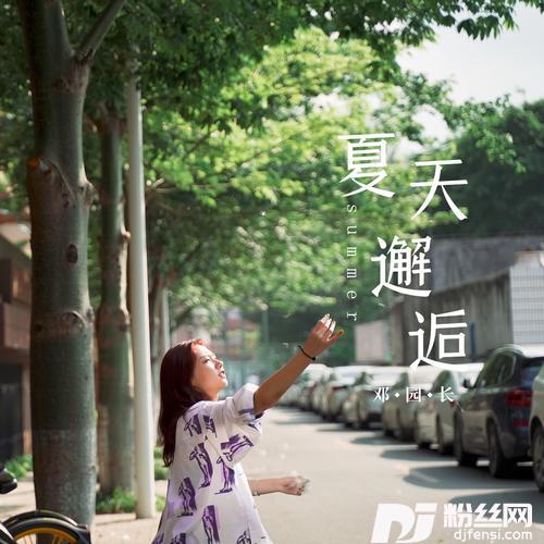 夏天邂逅的专辑