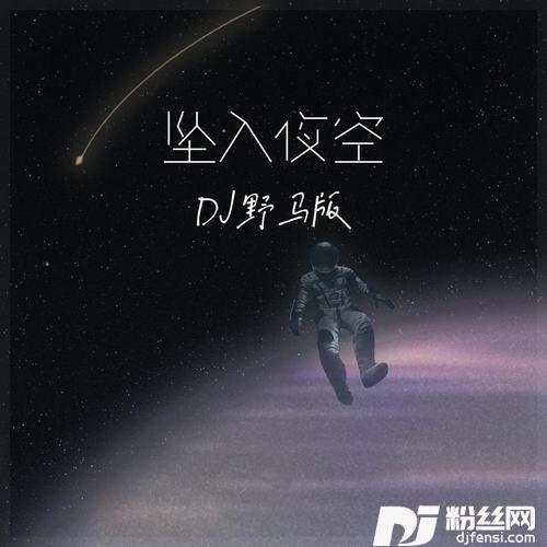 坠入夜空DJ野马版