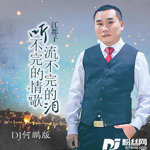 听不完的情歌流不完的泪DJ何鹏版
