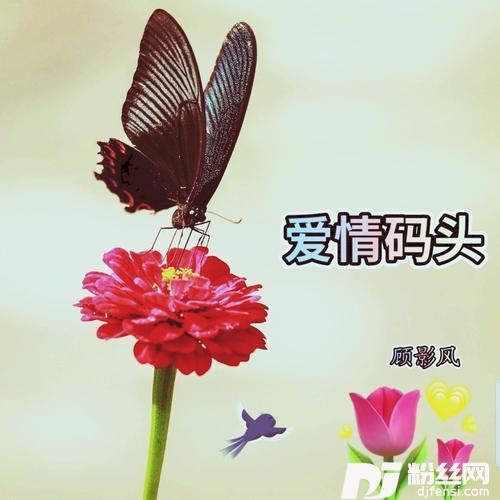 爱情码头cover:郑源的专辑