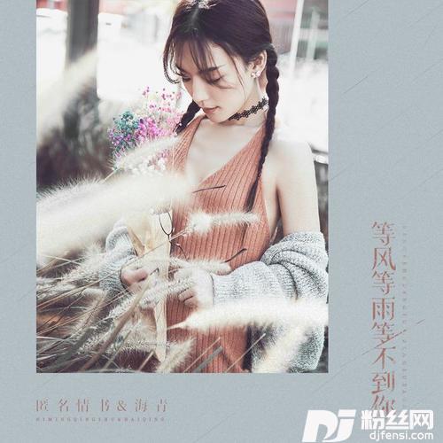 等风等雨等不到你