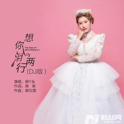 想你泪两行DJ版的专辑