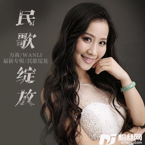 念红军的专辑