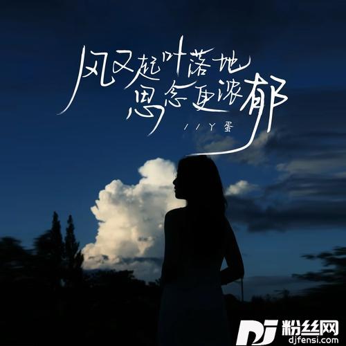 风又起叶落地思念更浓郁新版0.8X