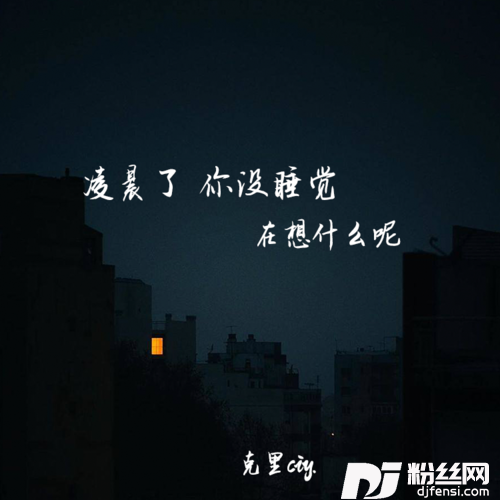 凌晨了你没睡觉在想什么呢的专辑