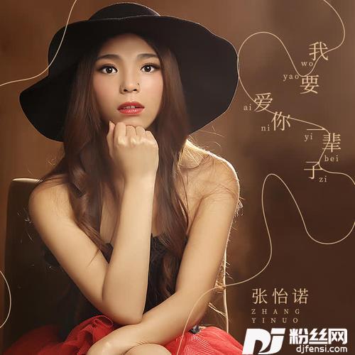 我要爱你一辈子DJ沈念版的专辑