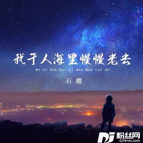 我于人海里慢慢老去的专辑