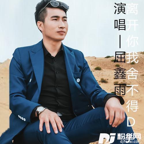离开你我舍不得DJ版的专辑