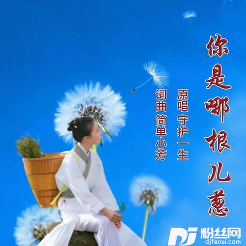 你是哪根儿葱