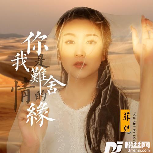 你是我难舍的情缘DJheap九天版的专辑
