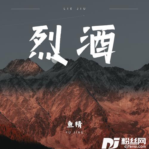 烈酒DJ版