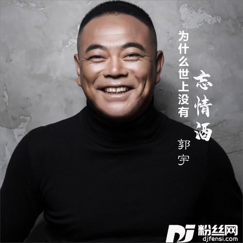 为什么世上没有忘情酒DJ何鹏版的专辑