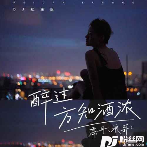 醉过方知酒浓DJ默涵版