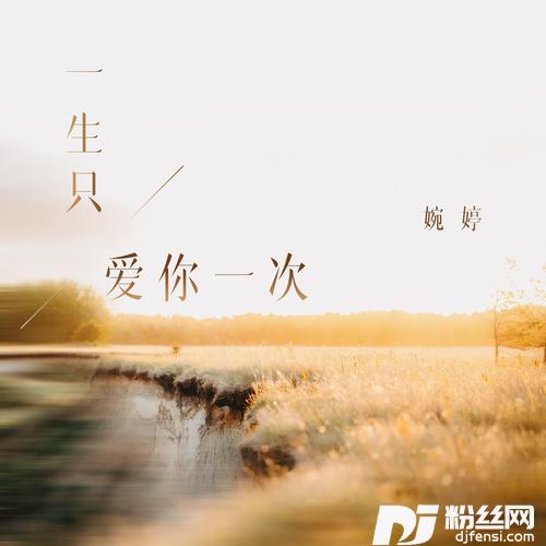 一生只爱你一次