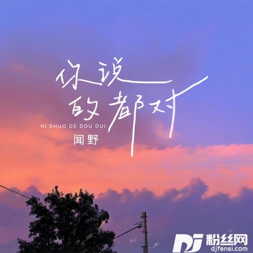 你说的都对