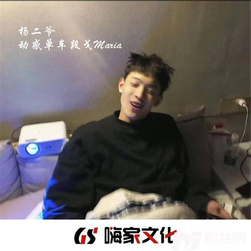 抖音热播君莫追抖音DJ版的专辑
