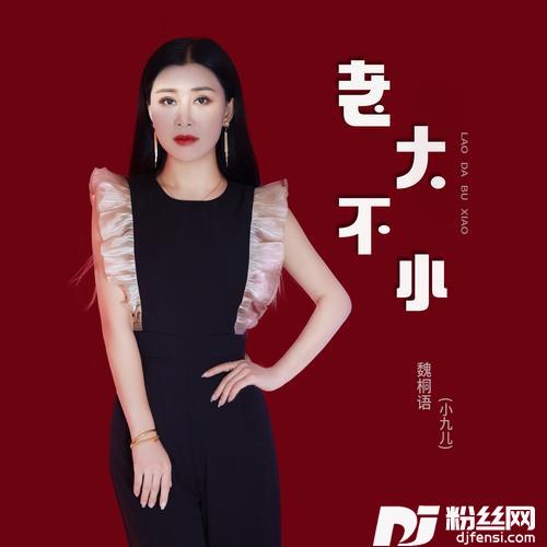 老大不小DJ默涵版