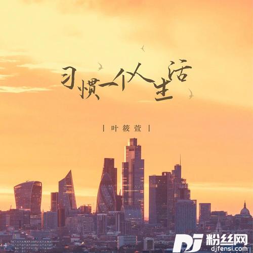 习惯一个人生活DJ阳少版