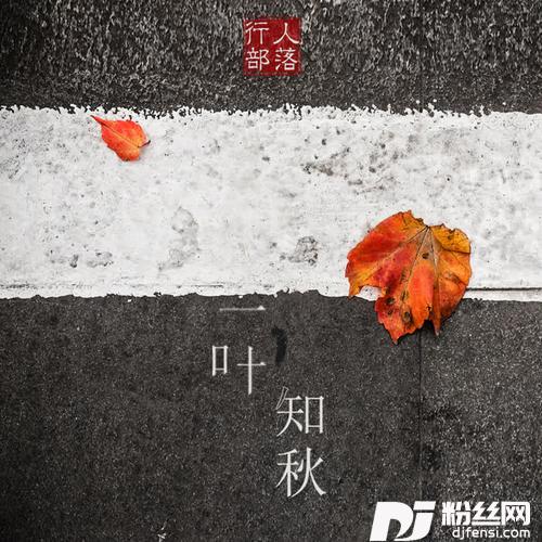 一叶知秋