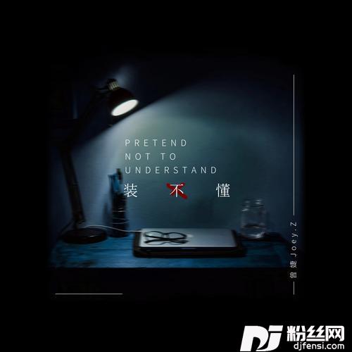 装不懂