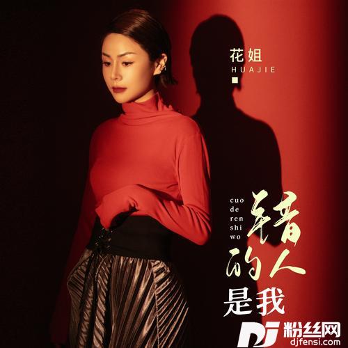 错的人是我