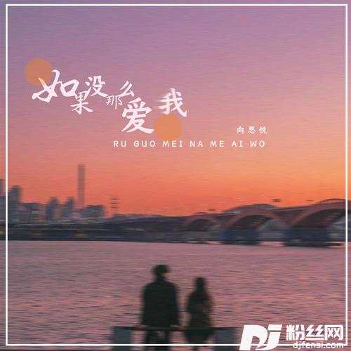 如果没那么爱我的专辑