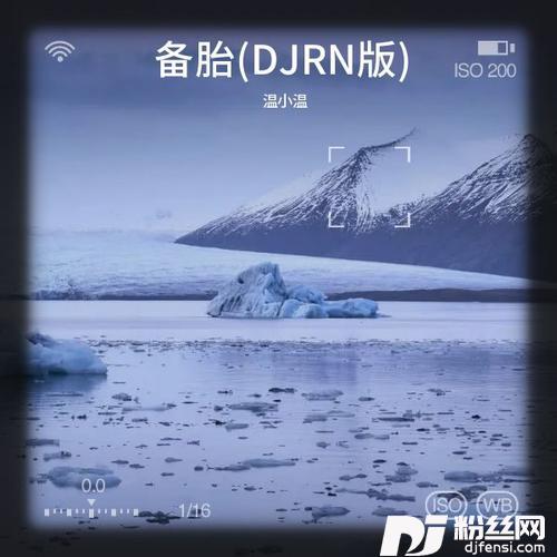 备胎DJRN版的专辑