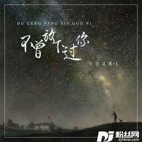不曾放下过你DJ彭锐版