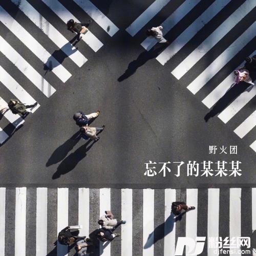 忘不了的某某某（女版）的专辑
