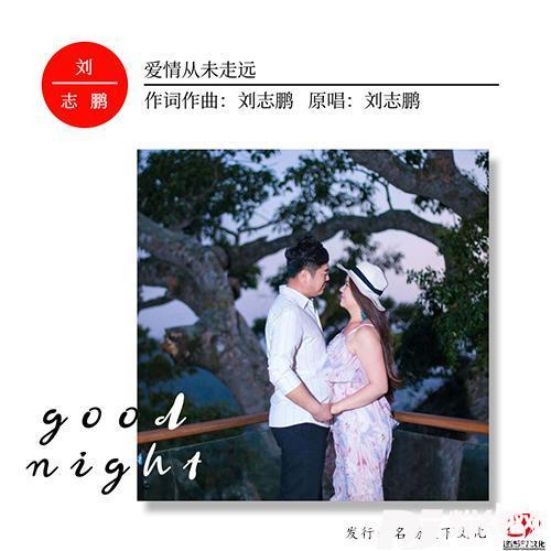 爱情从未走远的专辑