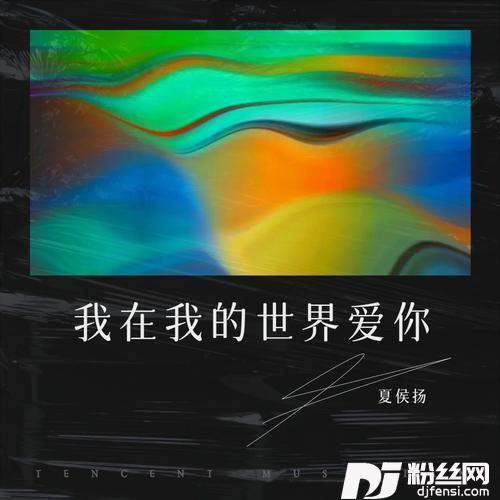 我在我的世界爱你