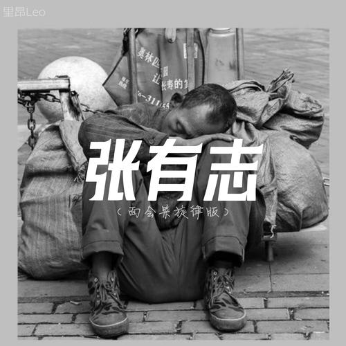 张有志面会菜旋律版的专辑