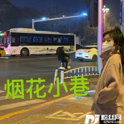 烟花巷子cover:半阳