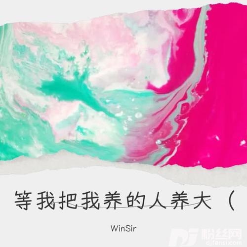等我把我养的人养大（DJ版）