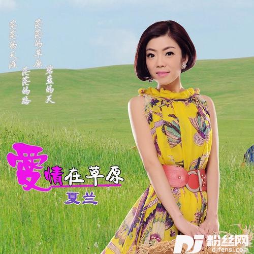 爱情在草原的专辑