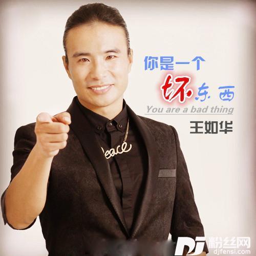 你是一个坏东西