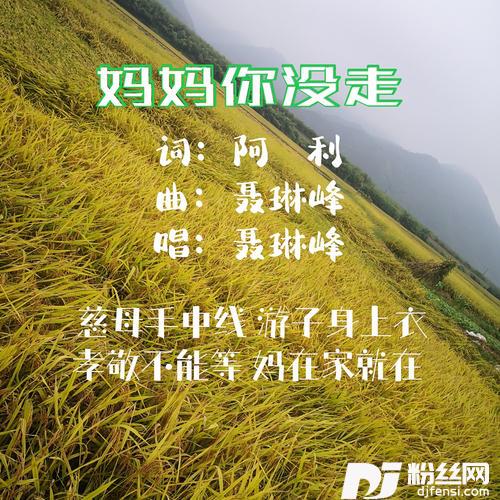 妈妈你没走的专辑