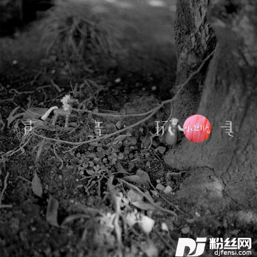 小翅膀