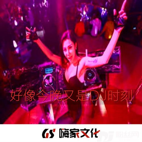 圣经DJ深圳838精品舞曲