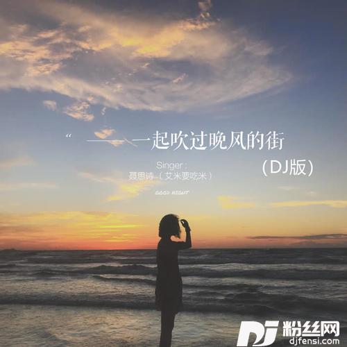 一起吹过晚风的街DJ沈念版的专辑