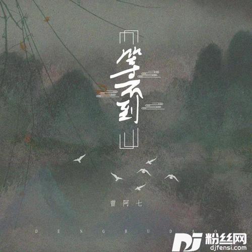等不到的专辑