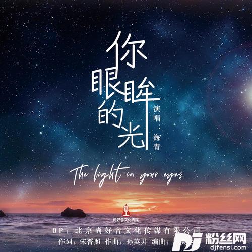 你眼眸的光