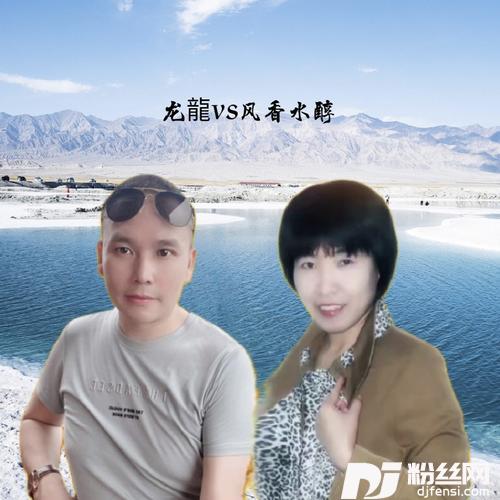 胡琴说cover:王莉|汤非的专辑