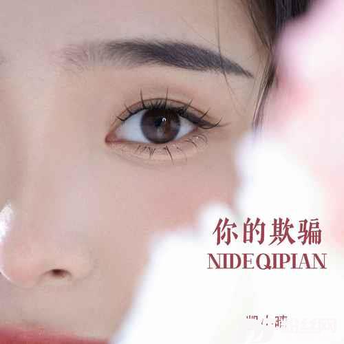 你的欺骗DJ默涵版的专辑