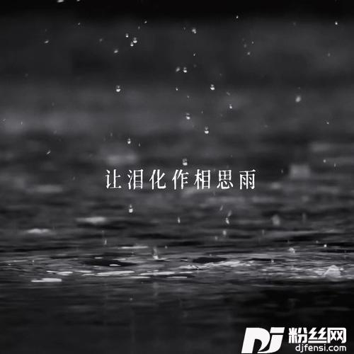 让泪化作相思雨的专辑