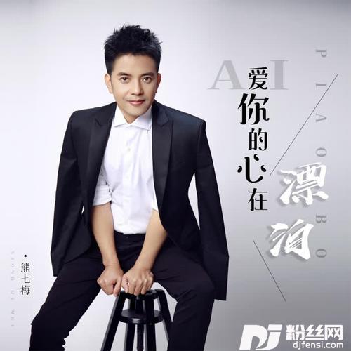 爱你的心在漂泊DJ默涵版的专辑