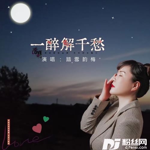 一醉解千愁（DJ默涵版）的专辑