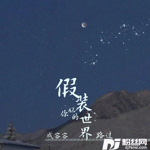 假装从你的世界路过DJ名龙版